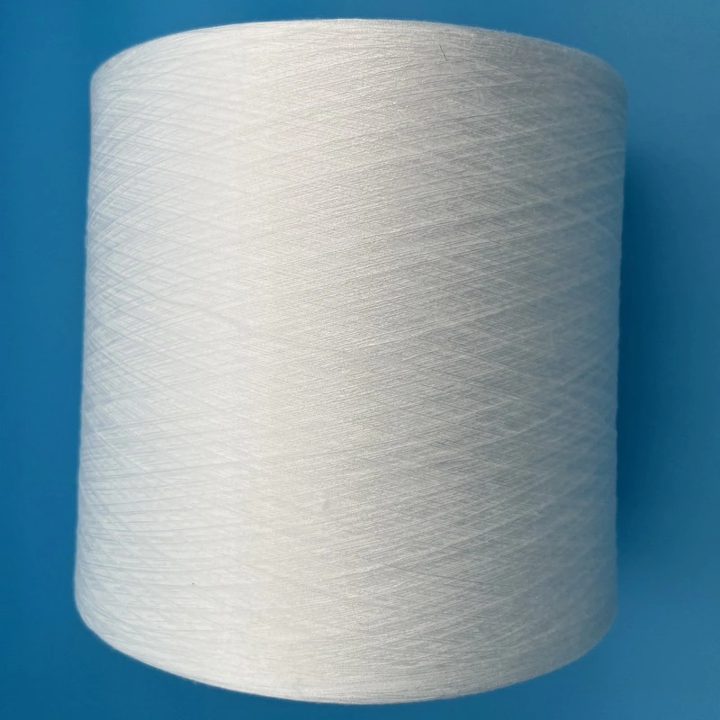 Hochzähhaltige gesponnene Polyester-Garne von Yizheng Top Heftklammer Glasfaser 20s/2