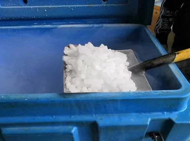 Aislamiento PE aislado de pesca Cajas de almacenamiento en frío de hielo seco caja