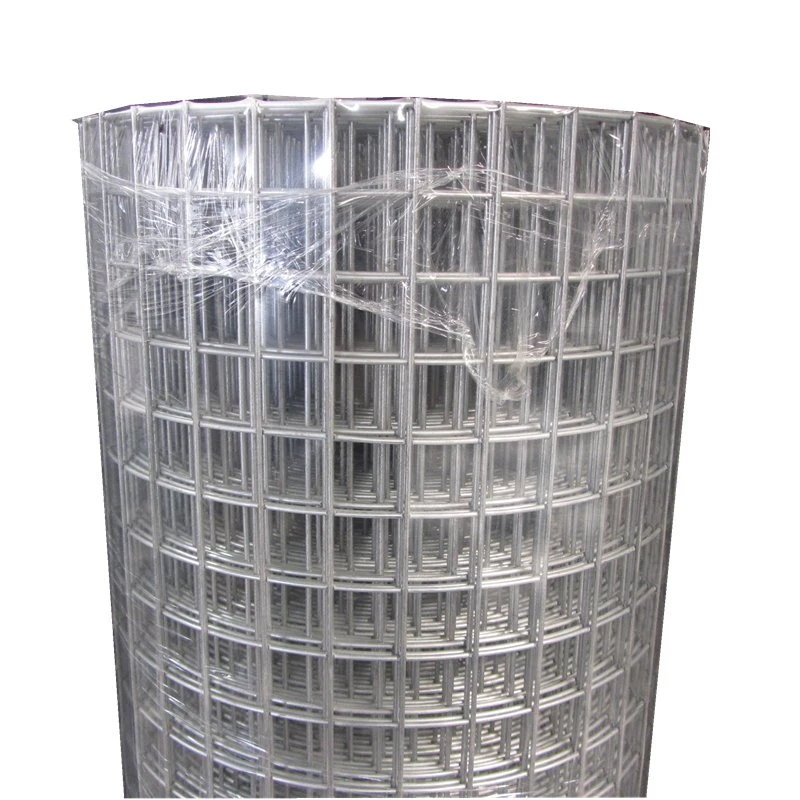 Hot Dipped Galvanized 1/2 Inch Welded Wire Mesh Roll for Snake Cage