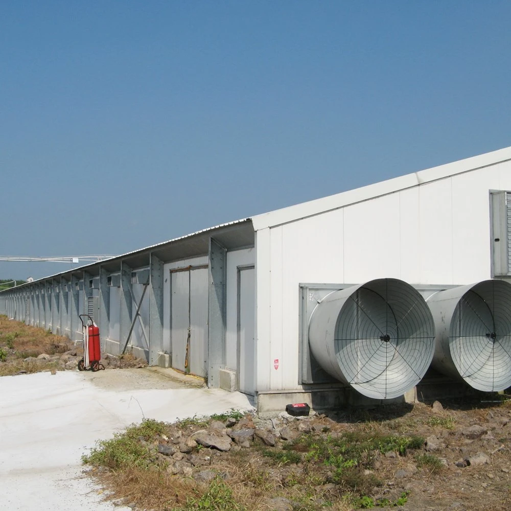 Prefabricated H Beam Steel Poultry House Poultry Farms From China