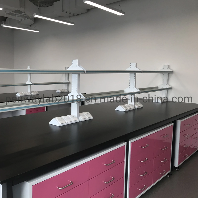 All Steel Painted Chemical Resistant Work Station Cabinets Lab Table