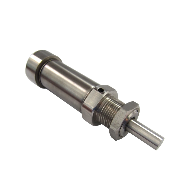 Densen Customized CNC Micro Small Stainless Steel Part Compressed Pneumatic ISO Mini Air Cylinder