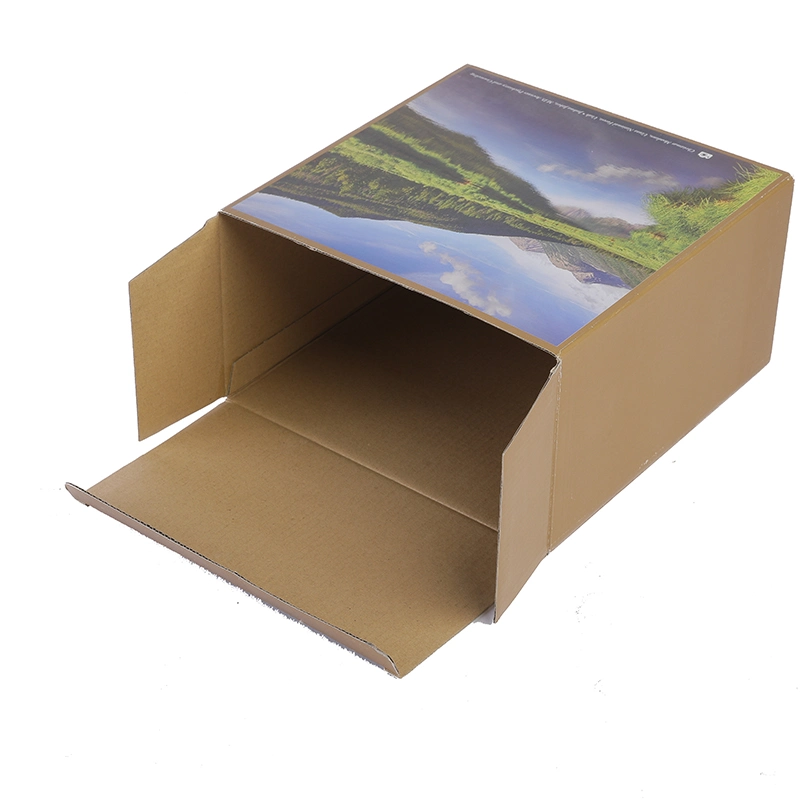 Accept Custom Order and Paper Material Pulp Paper Meal Box