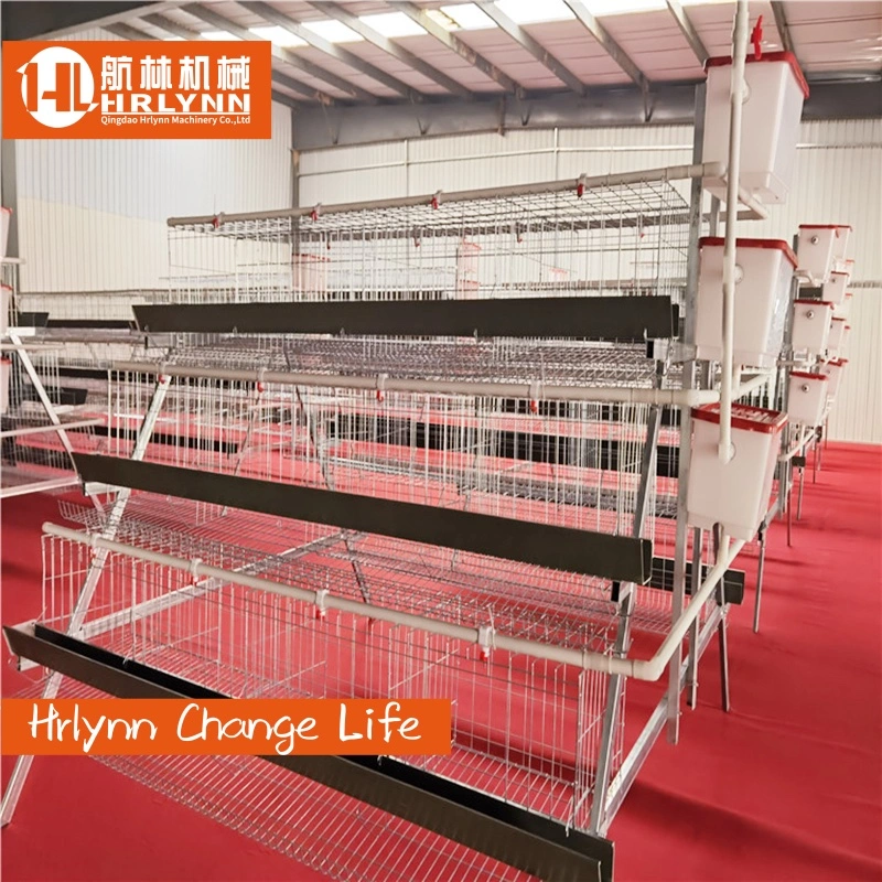 Africa Zambia Stocks Poultry Farm Layer Cage with Easy Fecal Cleaning