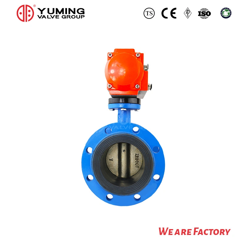 Centerline Shaft Double Flange Pneumatic Butterfly Valve