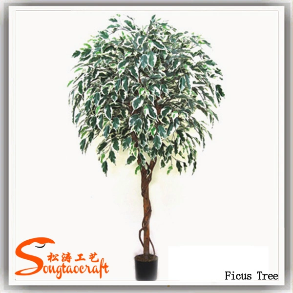 Artificial Potted Small Size Ficus Tree