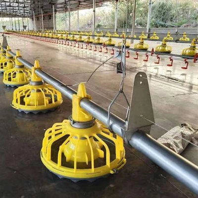 Automatic Chicken Drinking and Feeding System for Chicken Feeders Broiler Poultry Farm Equipment Chicken House