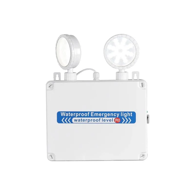 Wholesale/Supplier Waterproof IP65 Non Maintained Emergency Fixture with Twin Floodlights