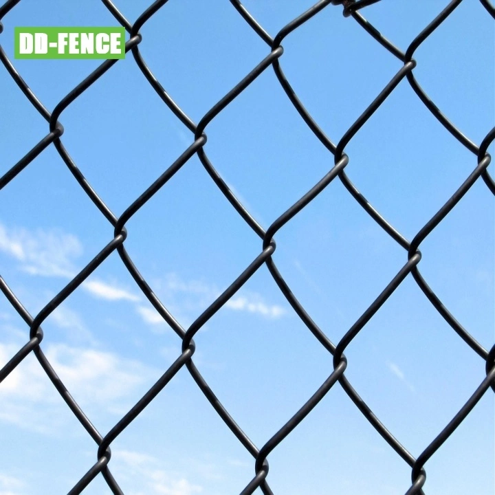 Factory PVC Coated/Galvanized Wire Mesh Fence Chain Link Fence for Playground