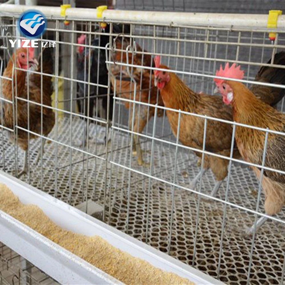 Meilleur prix volaille matériel de la couche d'oeufs poulet Agriculture automatique&amp;4 Cage de poulet à griller de type Tier H