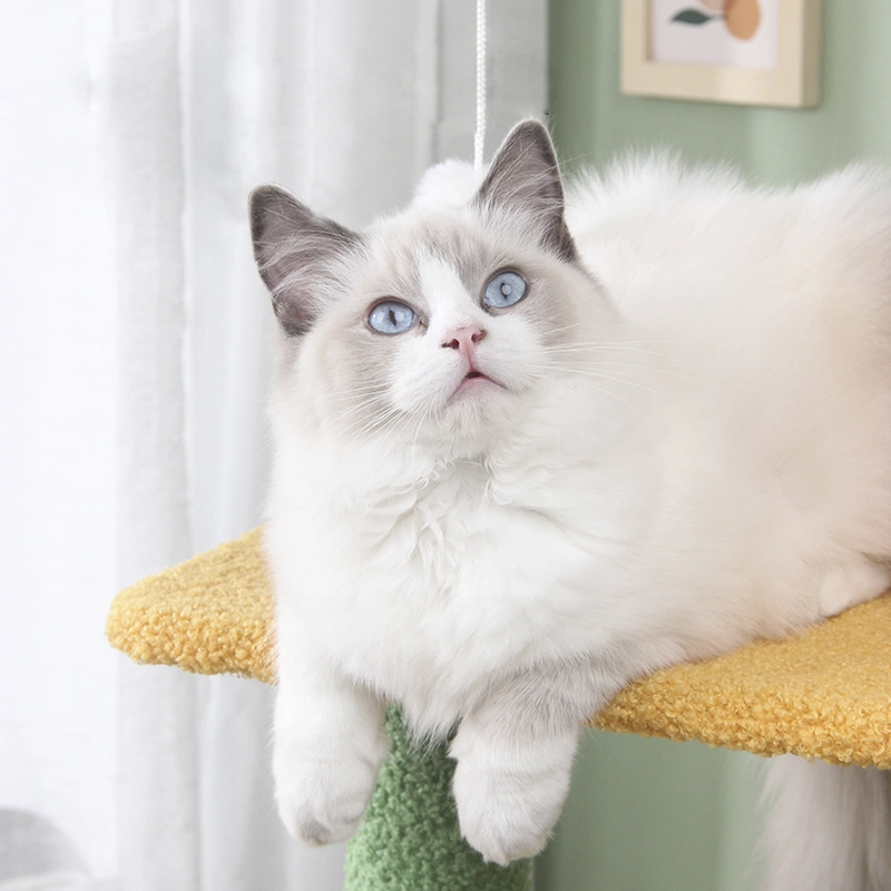 Gatito Casas de madera Entretenimiento gato rascándose poste Plataforma Torre Gato Árbol