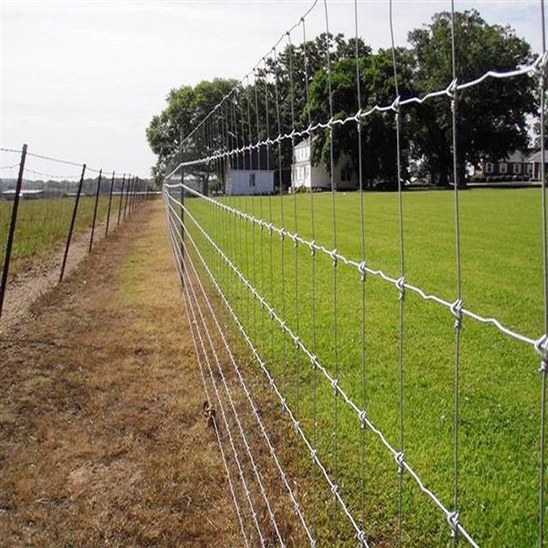 8ft Hochspannungs-heiß getaucht Verzinkt graduiert fest Knot Hirsch Zaun Grasland oder Feld Rinder Schafe Ziege Kreuz Lock Net Fechten/Wildfechten/Tight Lock Zaun