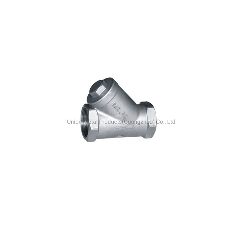 Stainess Steel Pipe Fitting SS304 SS316 Lift Check Valve