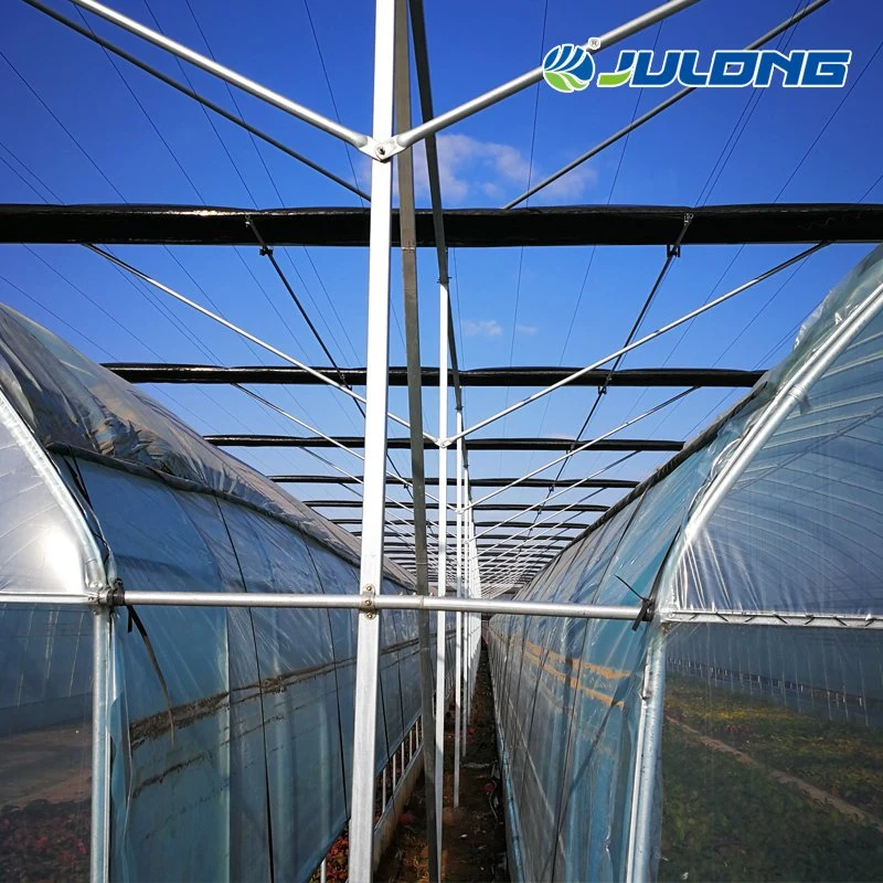 Multi Span Plastic Film Greenhouse for Vegetables/Flowers/Fruits with Complete System/Hydroponic System