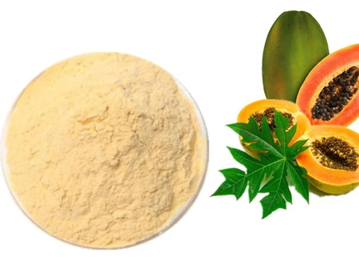 Chinese High quality/High cost performance  Spray Dried Papaya Juice Powder