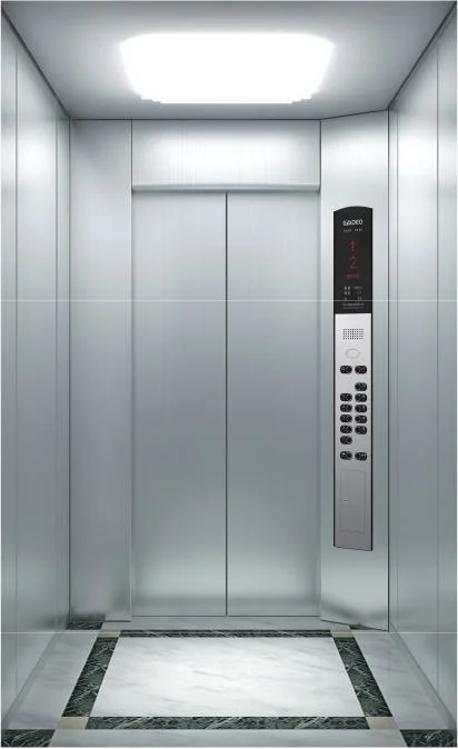 Effective 3m/S 1600kg Stainless Steel Apartment/Hotel/Residential Elevator Price