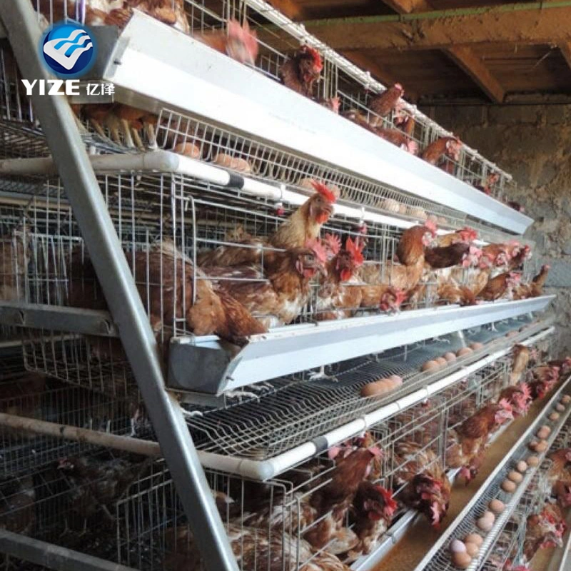 Yize Factory Design Chicken Wire Cage Big Capacity Cages for Hens