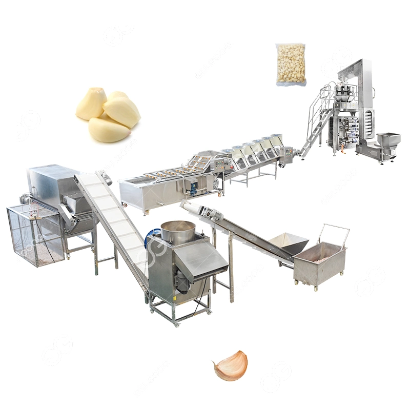 Garlic Processing Machine Plant, Peeling, Washing, Packing