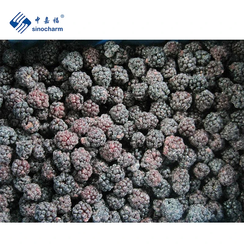 Sinocharm Frozen Berries IQF Fruit Whole 1kg Frozen Fresh Blackberry with Brc a Certification