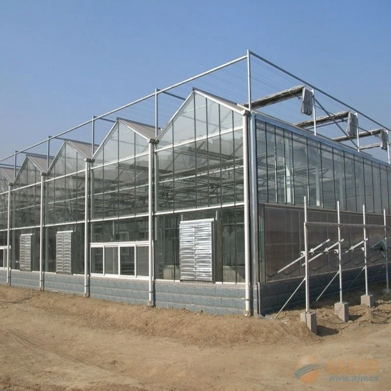 Complete Glass Agricultural Greenhouse Turnkey Project with Quick Construction