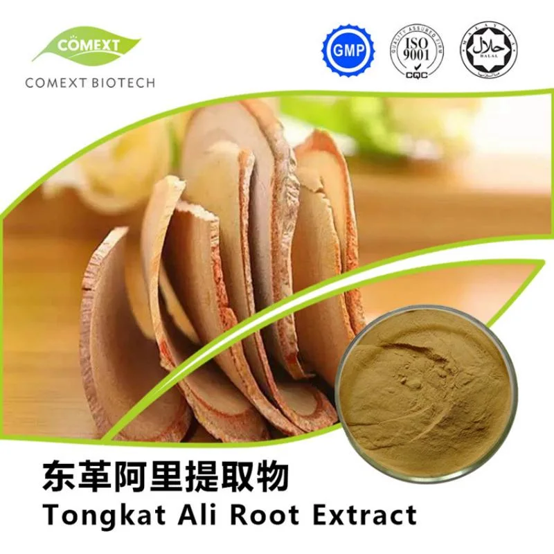 Comext Hot Sale 5% HPLC Eurycomanone Tongkat Ali Root Extract 10: 1-200: 1