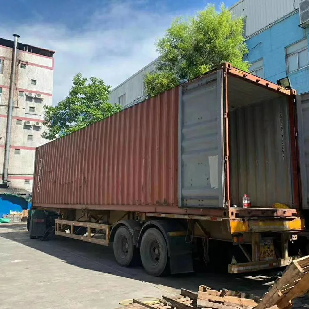 OEM Dropshipping Logistics Agent из Shekou Shenzhen Китай в Канаду По LCL DDP Морская перевозка