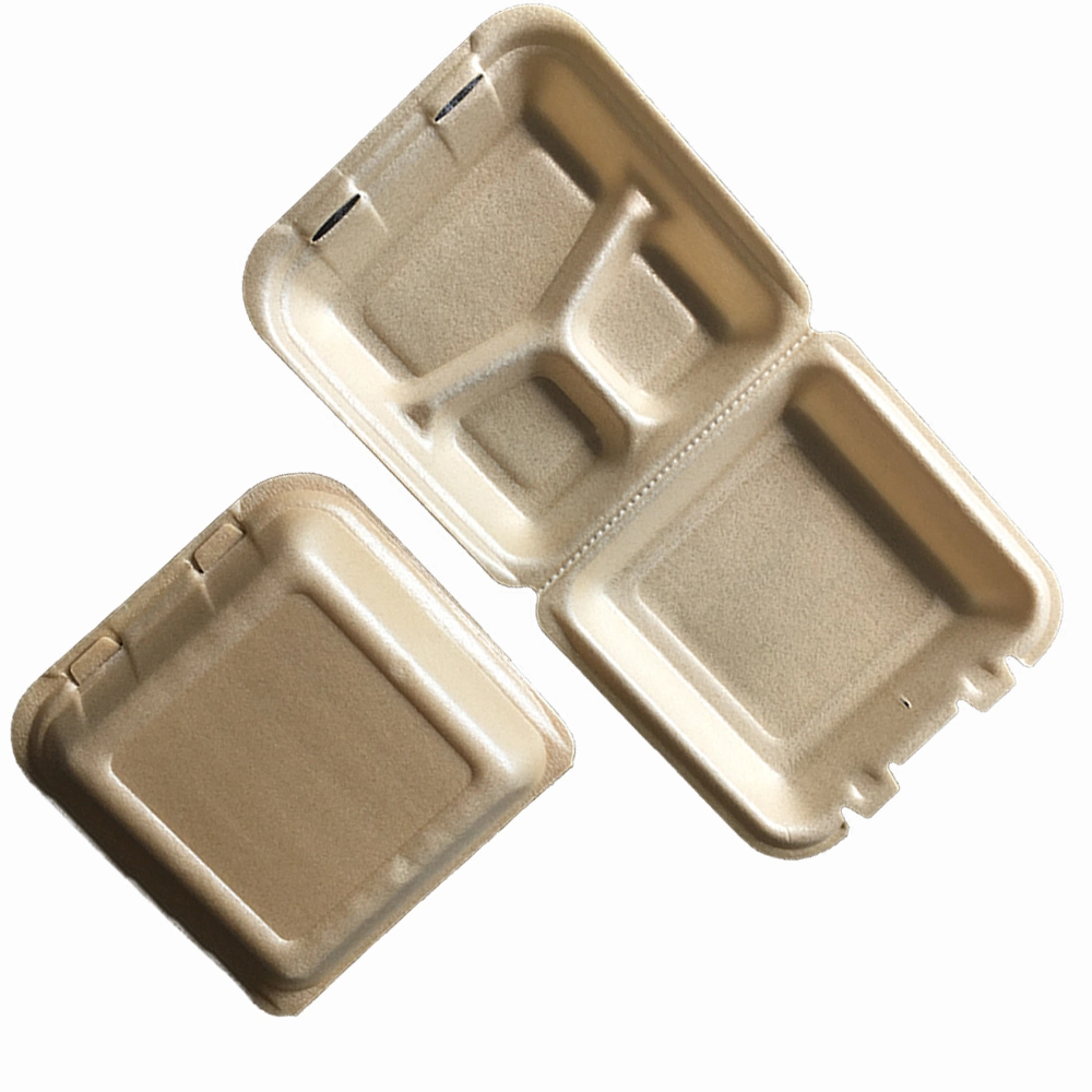 Biodegradable and Compostable PLA Foam Plastic Food Container