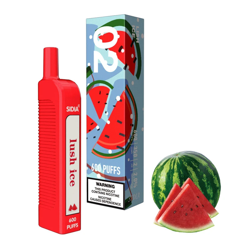Wholesale/Supplier Sidiamini-600 Disposable 600 Puffs of Watermelon Ice