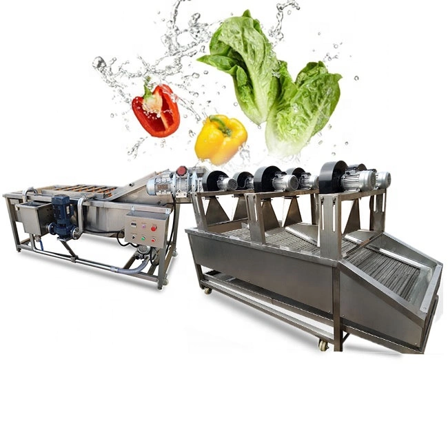 Customized Vegetable Washer Carrot Washing Machine