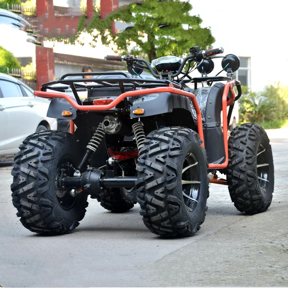 Wholesale/Supplier Quad 250cc Four Wheel Gasoline Motorcycle All Terrain off-Road Mountain ATV