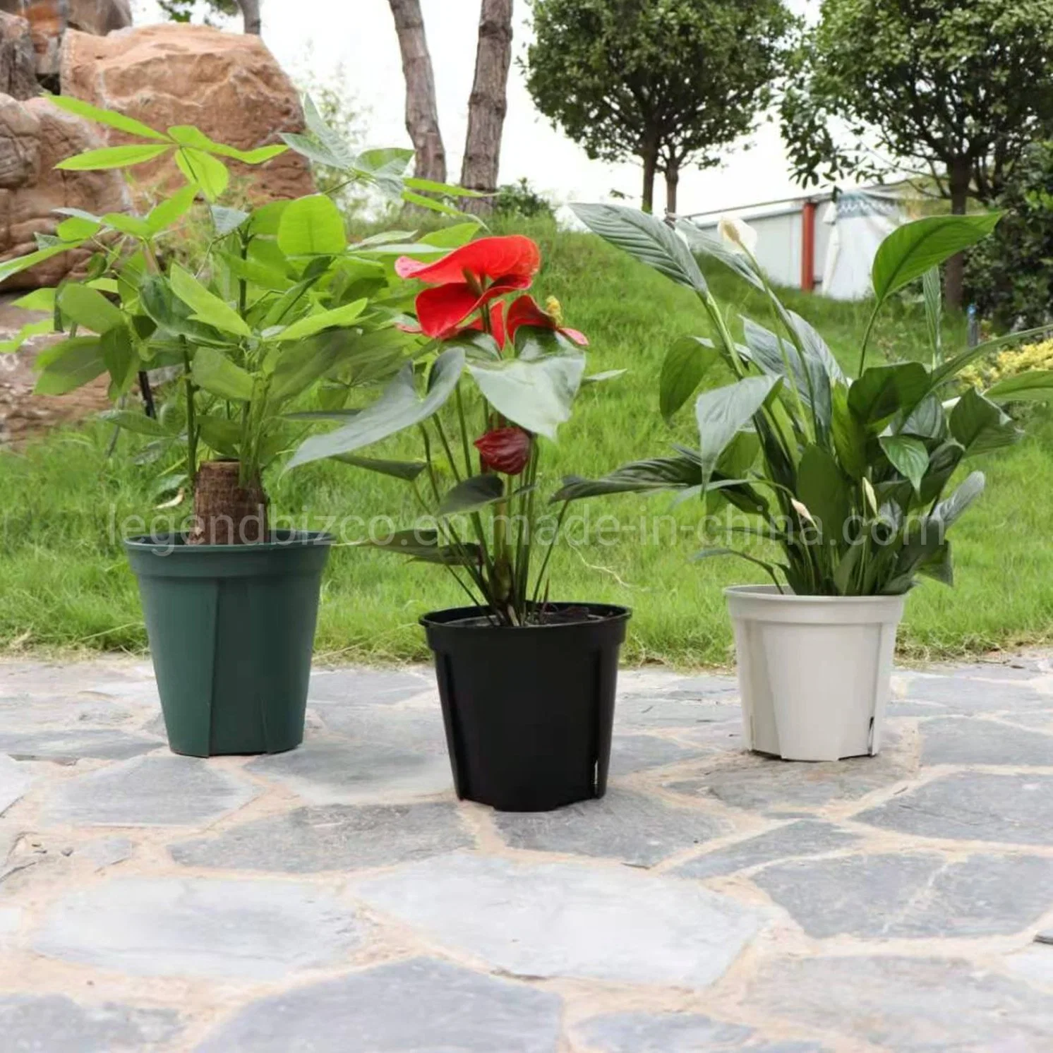 Multiple Sizes Root Control Pot Plastic Good Drainage Nursery Pot for Tropical Plants