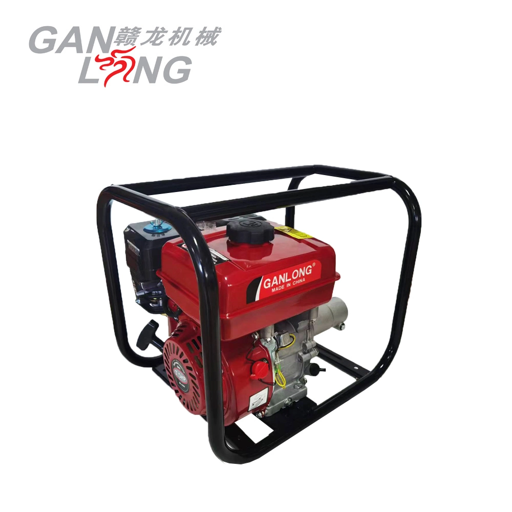 Construction Machine Gasoline Engine Concrete Vibrator