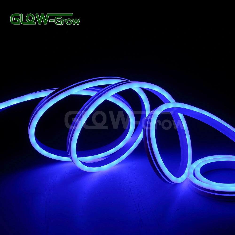 House Use IP65 Waterproof 24V 5050 RGB LED Neon Flex Light for Hotel Decoration