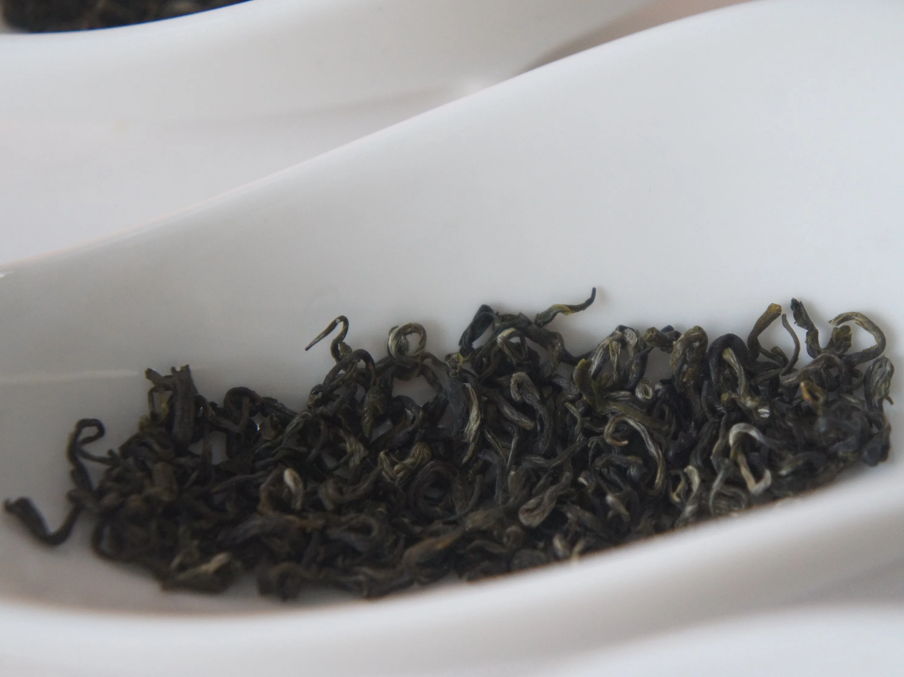 Maojian, Maofeng, Green Tea in Guizhou Province, Golden Tips