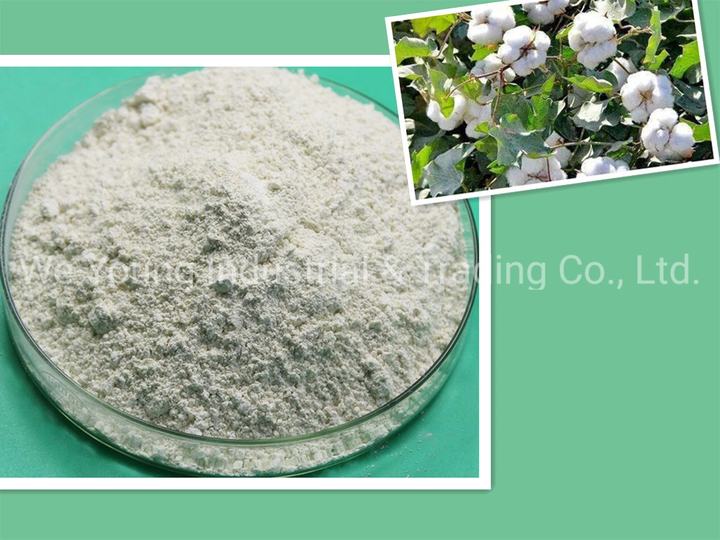 Pesticide for Plant Growth Regulator Thidiazuron 50% Wp in Agriculture Chemicals
