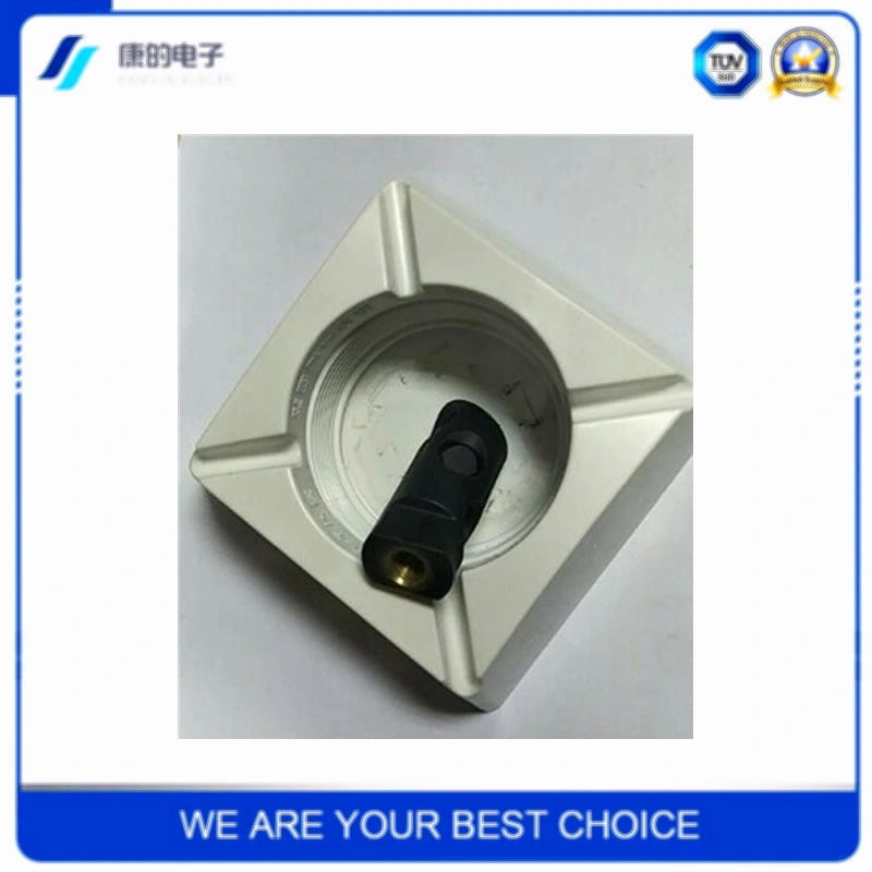 Plastic Part Nut Shell Mold Factory