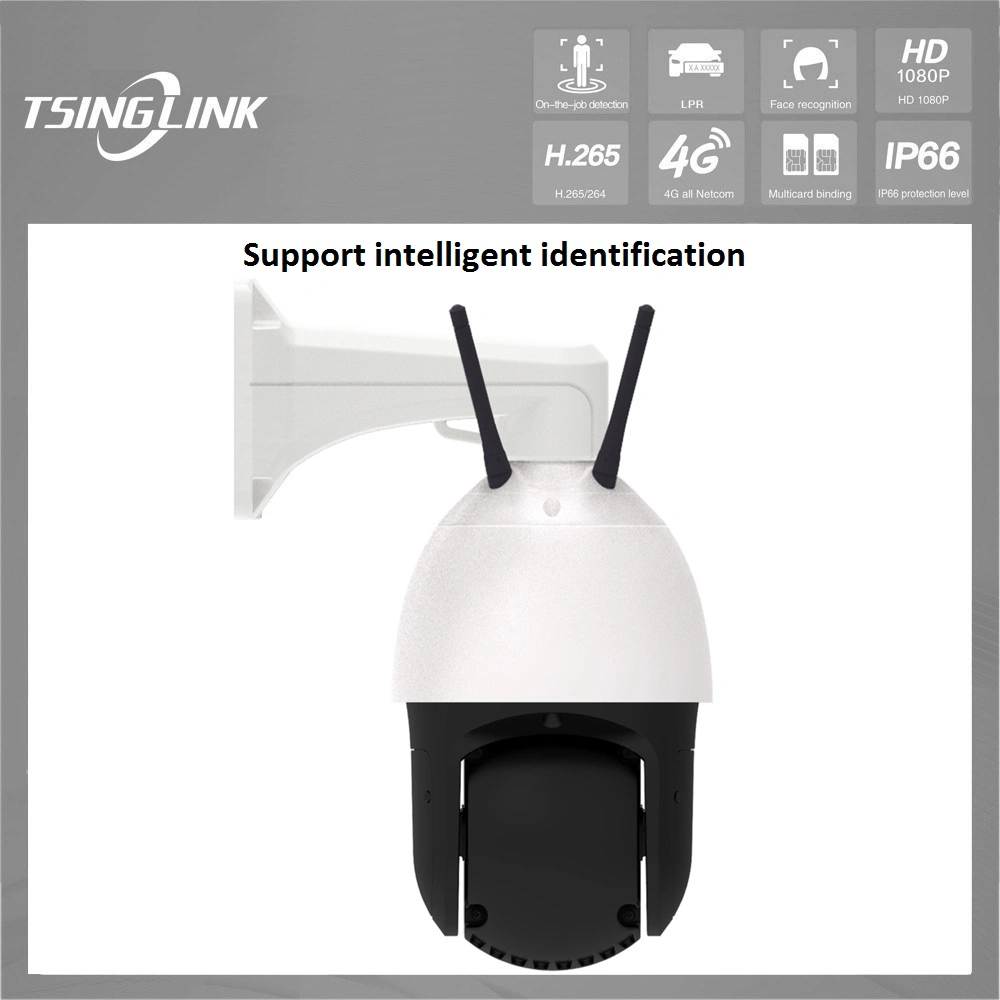 Alarm Input Trigger Wakeup Professional Video Surveillance Auto Cruise PTZ 4G Speed Dome Camera