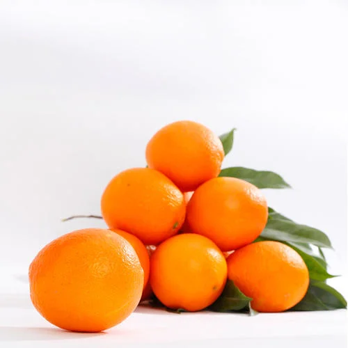 Newest Crop Navel Orange Fresh Fruits for Export