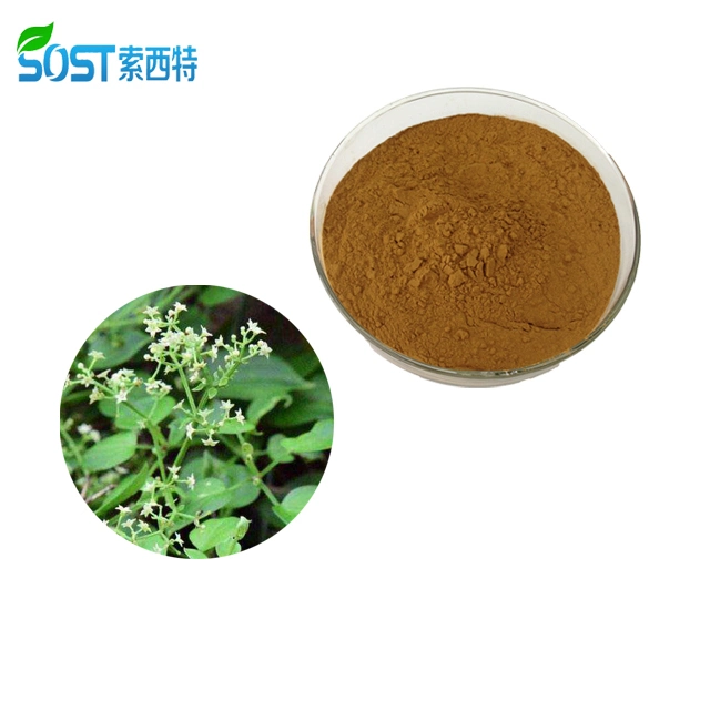 SOST Herbal Plant Extract Madder Root Extract Powder