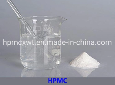 Adhesives HPMC HEC Cellulose Ether Thickener for Coating