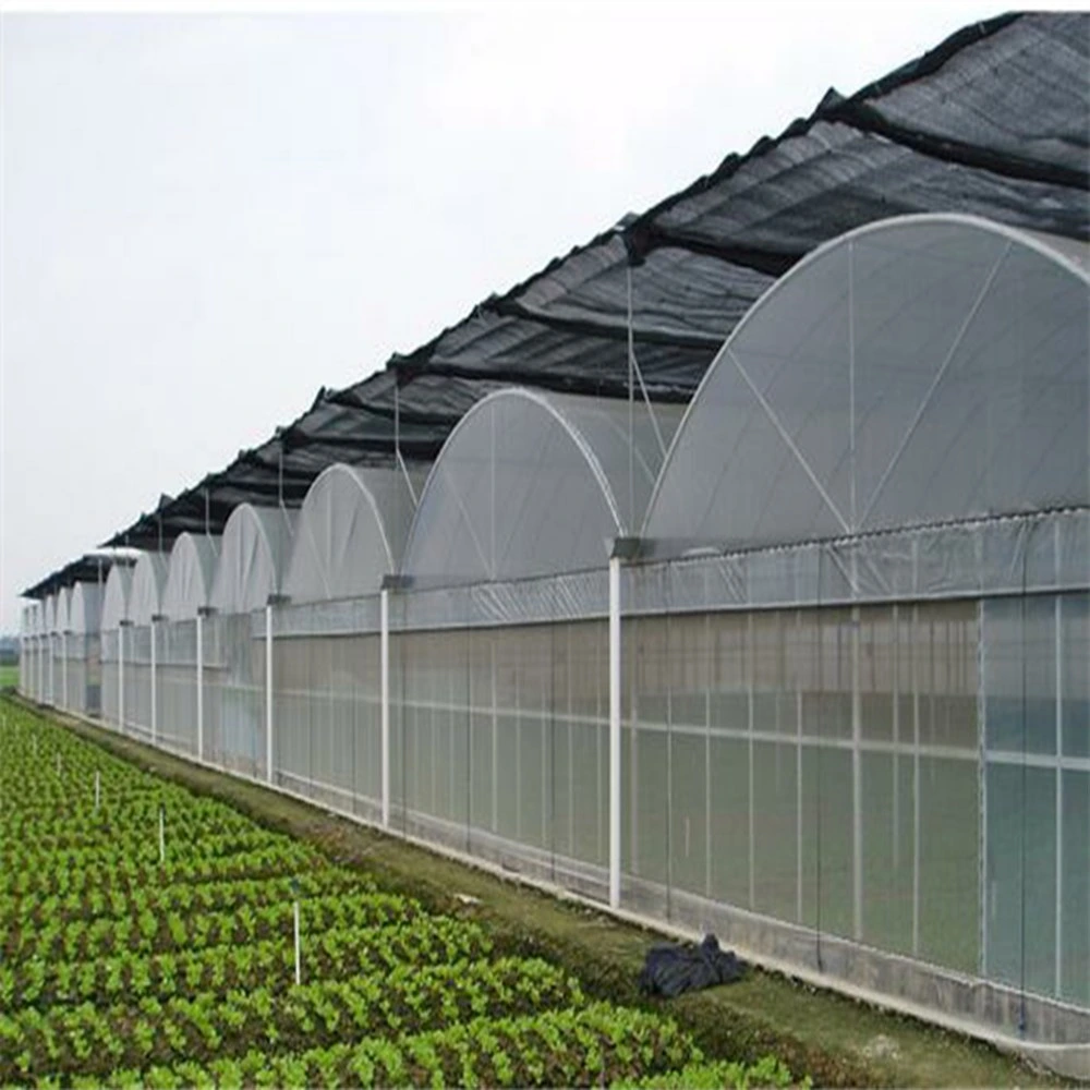 Bon marché/Prix bas/film multi-Span/polycarbonate/feuille PC/tunnel/serre agricole