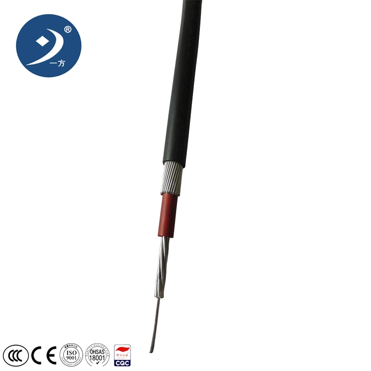 Cable de aluminio concentrico 2X6mm2 (XLPE-PVC) 0.6/1 kV