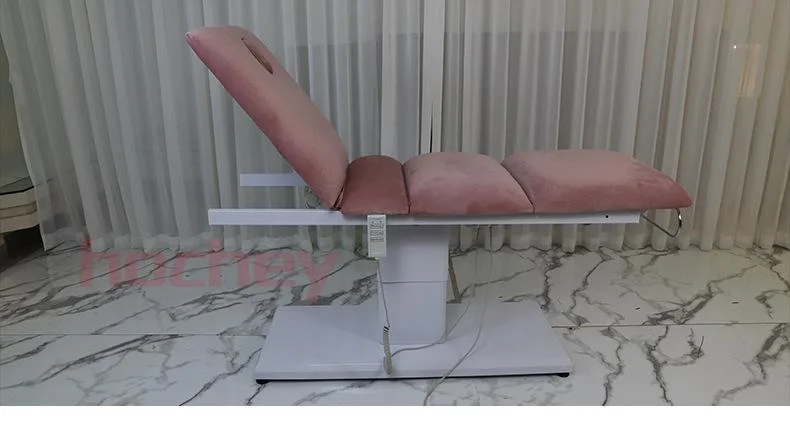 Hochey Medical High quality/High cost performance Portable Foldable Massage Table for Beauty Salon Treatment Beauty Bed