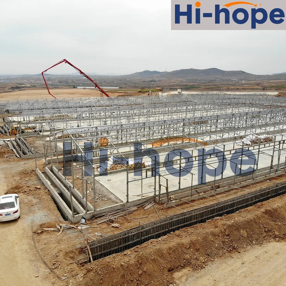 Light Steel Building for Chicken Houses to Contain Farming Facilities System