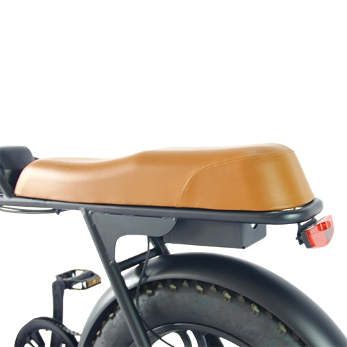 Electric Scooters 2 Wheel Bike Bicycle Freight Electric Ebike Bracket to Pick up Children Electric Cargo Energy-Saving Bicycle