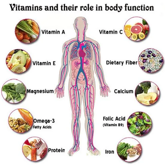 Vitamina B2 de alta calidad a granel polvo de riboflavina CAS 83-88-5