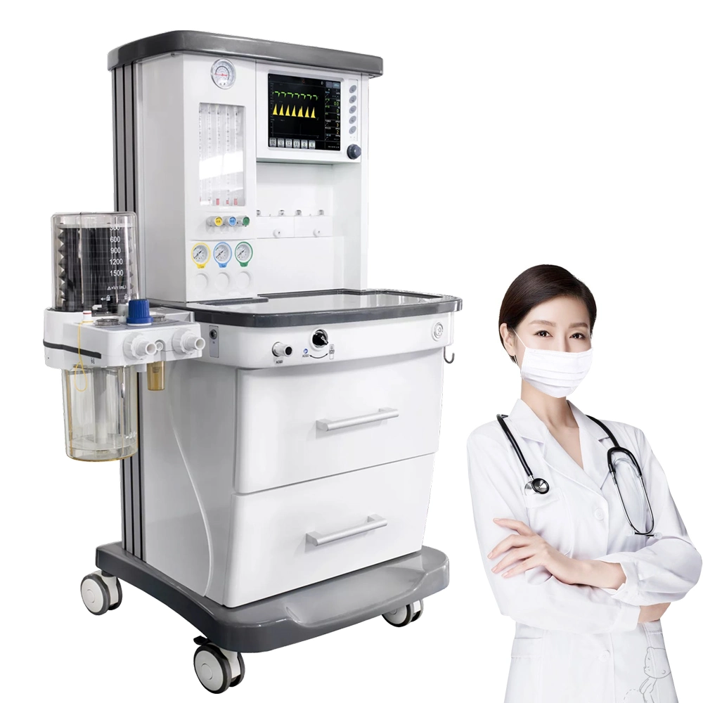 Veterinary Anesthesia System Dm6a with Advanced Power Managemen