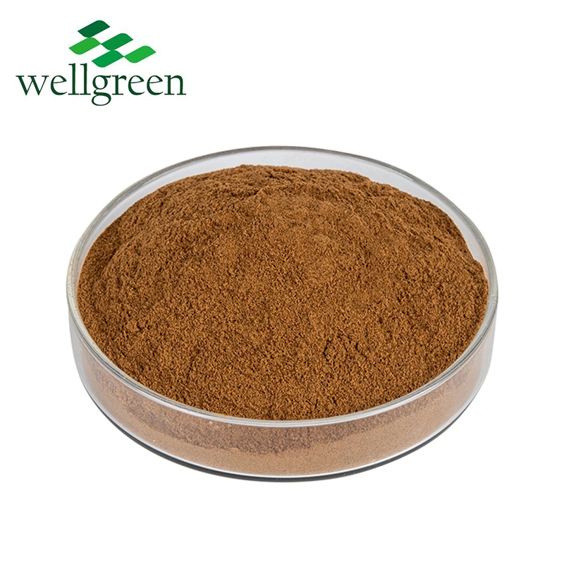 Polysaccharide Price Lucidum Ganoderma Mycelium Organic Wild Reishi Mushroom Extract Powder