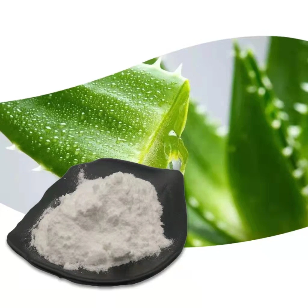 200: 1 Aloe Vera Gel Freeze Dried Powder