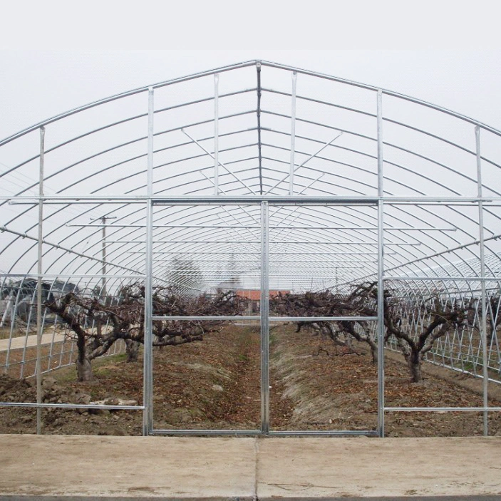 Single-Span Poly Tunnel Greenhouses with Galvanized Steel Structure